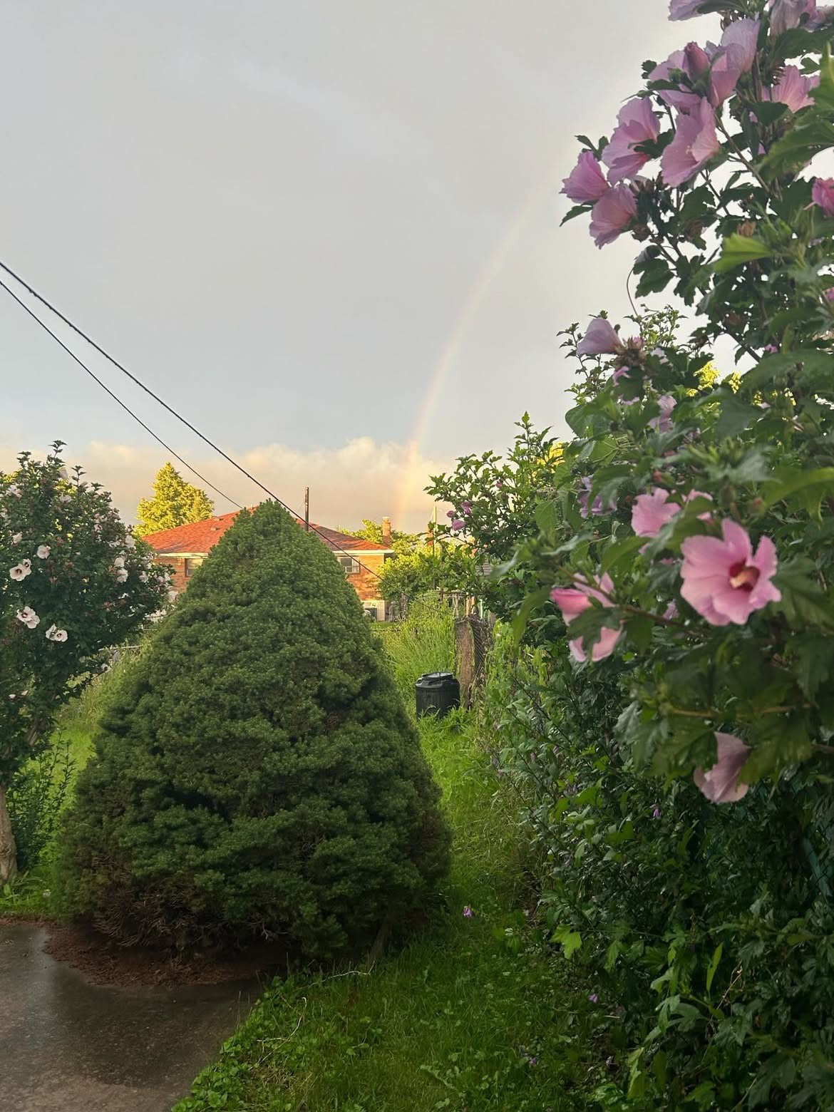 rainbow
